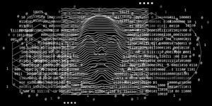 Can the CxO Turn a Blind Eye to SSE?