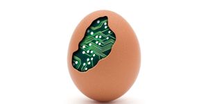 egg with shell cracked to reveal computer chip inside signifying endianness