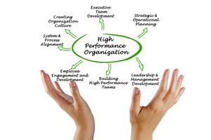 How to Build a High Performance Culture