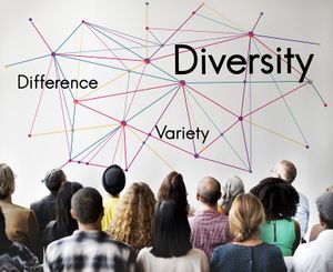 3 Diversity Metrics You Should be Tracking in 2019