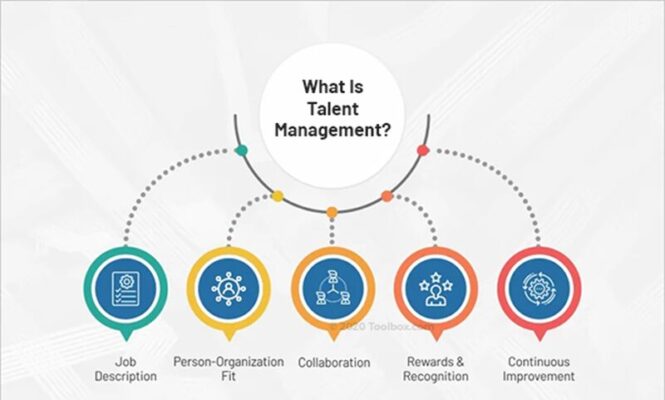 What is Talent Management? Definition, Strategy, Process and Models