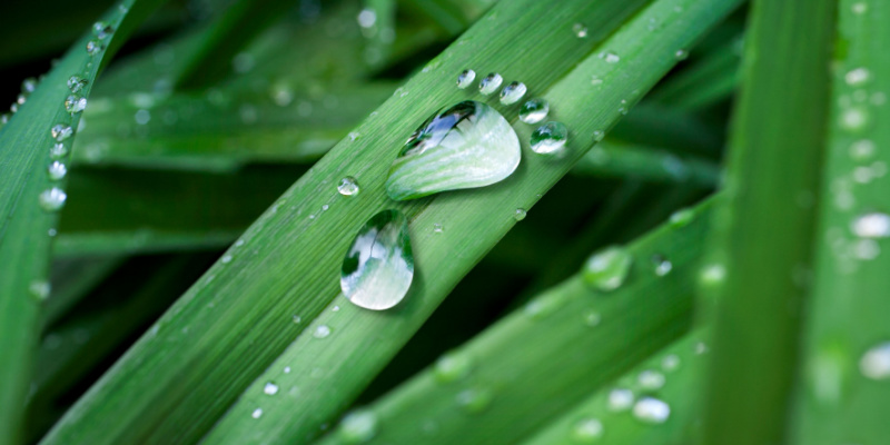 Earth Day Carbon Footprint Reduction Through Technology