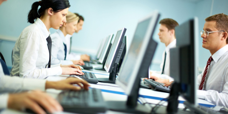 Employees using PC Workstations
