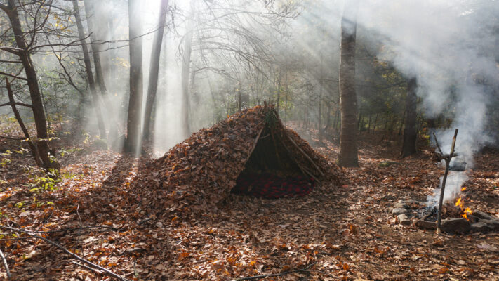 Spiceworks Community Digest: IT survival guide